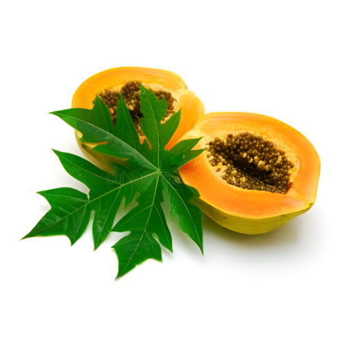 Papaya Leaf